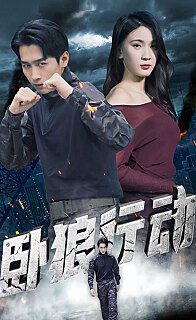 卧狼行动(1080)