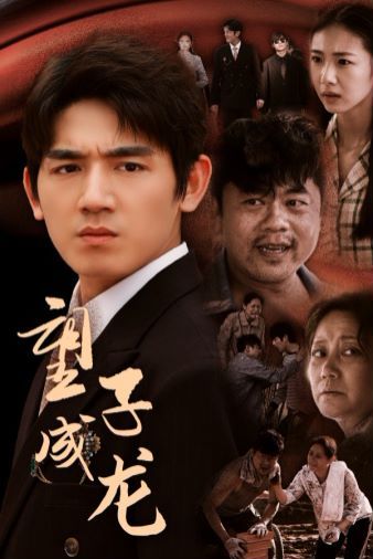 望子成龙(蓝光)