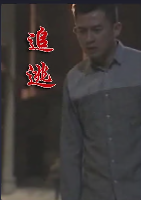 追逃2020(1080)
