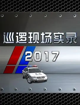 巡逻现场实录2017(1080)