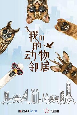 我们的动物邻居(蓝光)