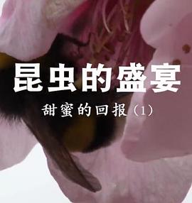 昆虫的盛宴(4K)