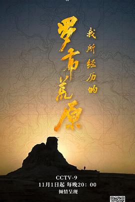 我所经历的罗布荒原(蓝光)
