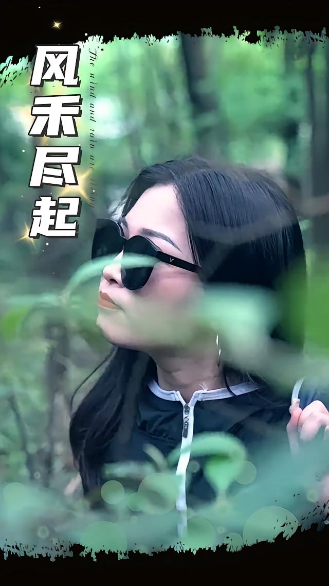 风禾尽起(蓝光)