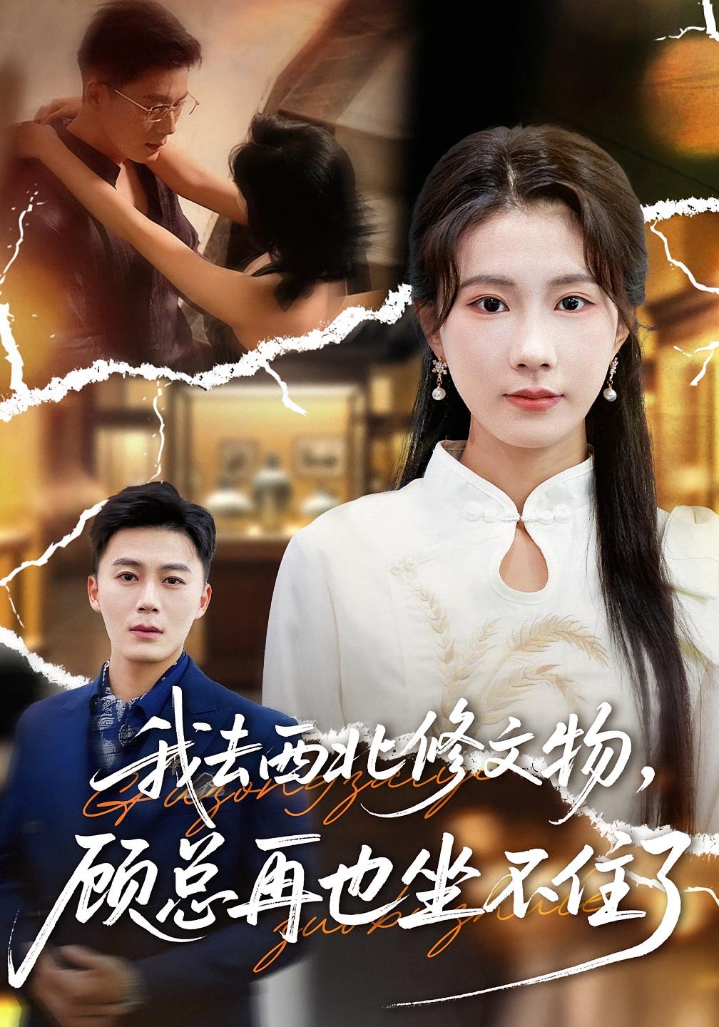 我去西北修文物顾总再也坐不住了(蓝光)