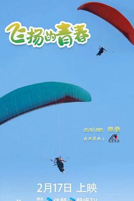 飞扬的青春(蓝光)