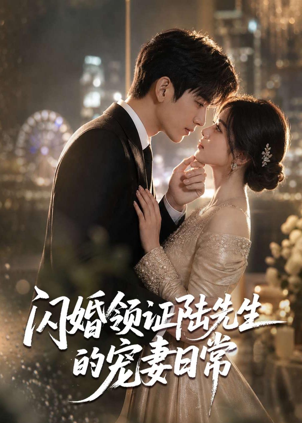 闪婚领证陆先生的宠妻日常（1080）