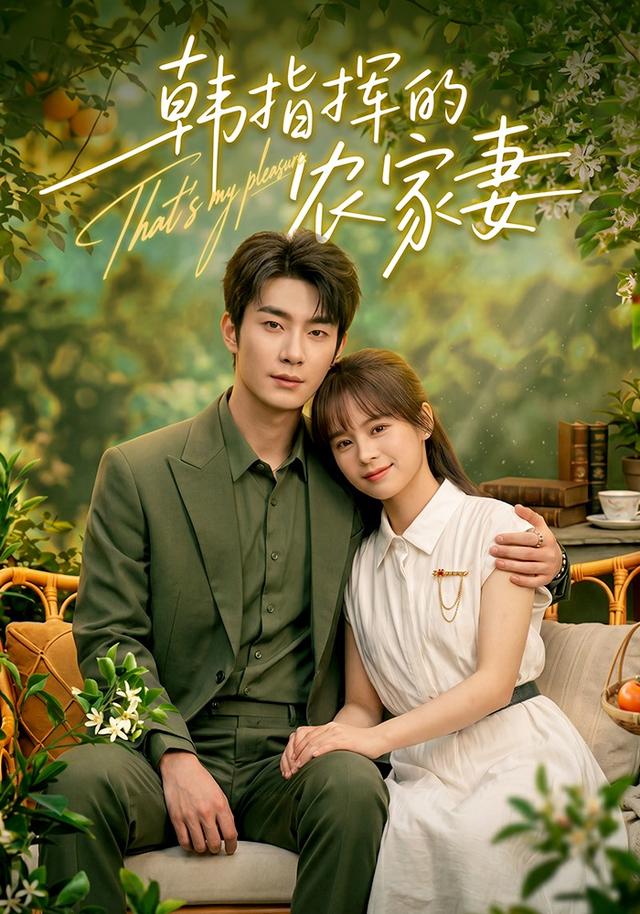 韩指挥的农家妻（蓝光）