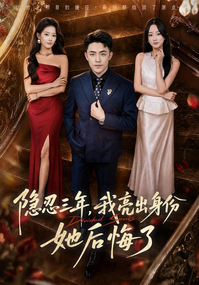 隐忍三年我亮出身份她后悔了（1080）