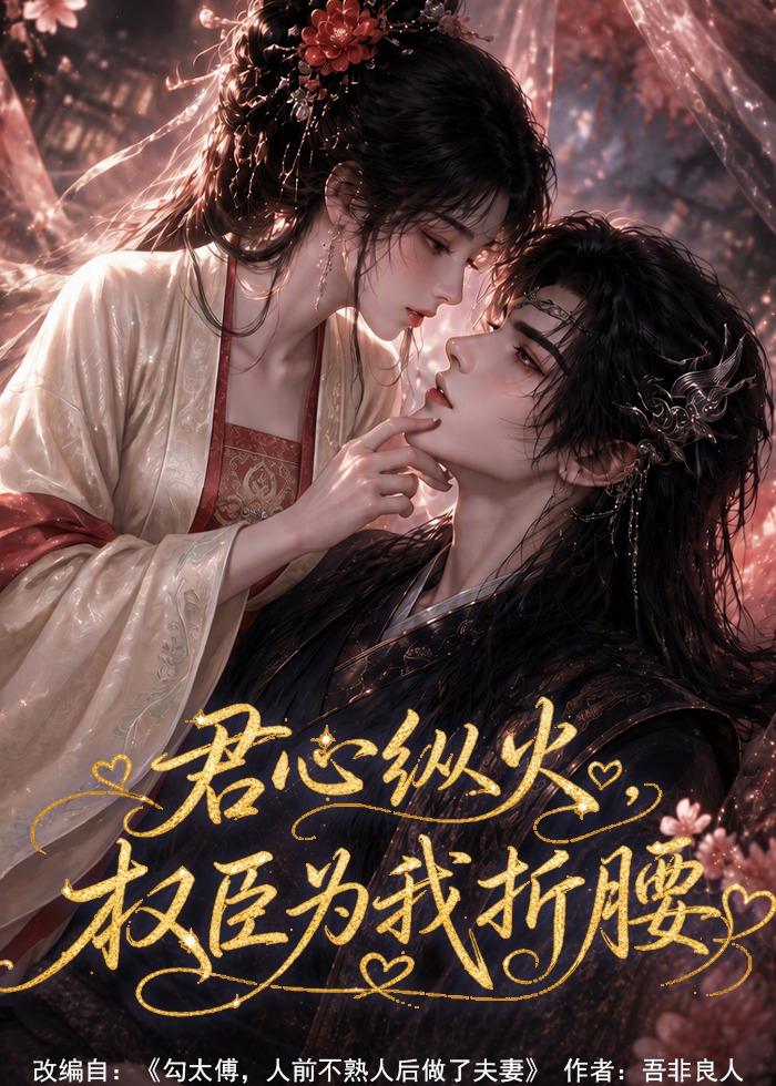 君心纵火权臣为我折腰（蓝光）
