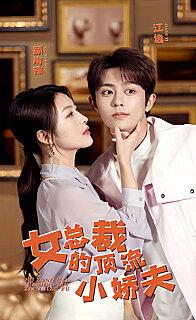 女总裁的顶流小娇夫(蓝光)